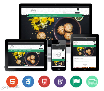 قالب ناپ کامرس